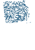 stat-image